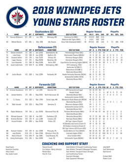 2018 Winnipeg Jets Young Stars Roster