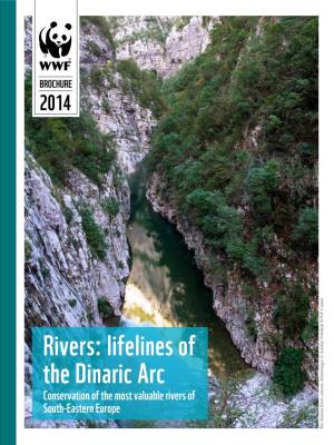 Rivers: Lifelines of the Dinaric