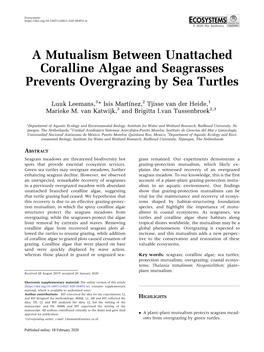 A Mutualism Between Unattached Coralline Algae and Seagrasses Prevents Overgrazing by Sea Turtles