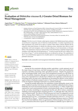 Evaluation of Dittrichia Viscosa (L.) Greuter Dried Biomass for Weed Management
