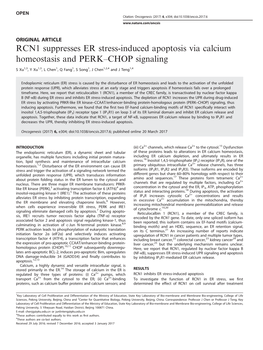 RCN1 Suppresses ER Stress-Induced Apoptosis Via Calcium Homeostasis and PERK–CHOP Signaling