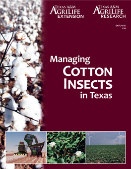 Managing Cotton Insects in Texas