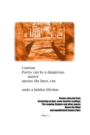 Poetry Can Be a Dangerous Matter Uneasy the Lines, Can Undo a Hidden Lifetime