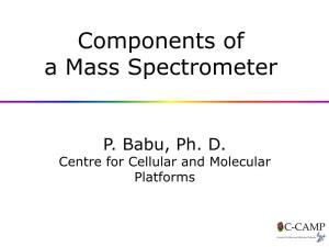 Components of a Mass Spectrometer