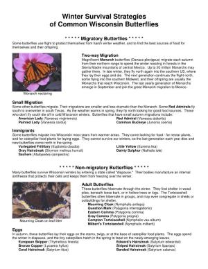 Winter Survival Strategies of Common Wisconsin Butterflies
