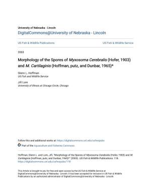 Morphology of the Spores of Myxosoma Cerebralis (Hofer, 1903) and M