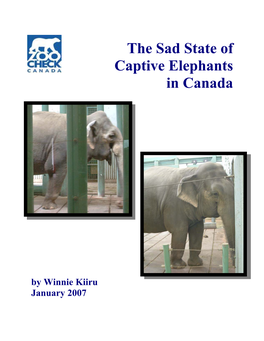 Elephants in Captivity-Canada