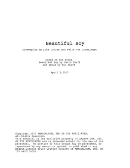 Beautiful Boy Screenplay by Luke Davies and Felix Van Groeningen
