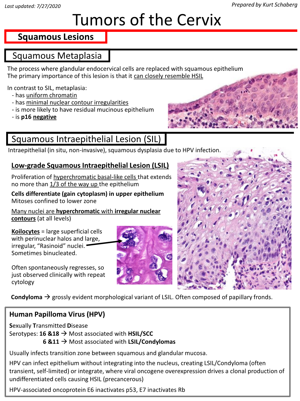 Tumors of the Cervix