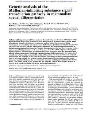 Genetic Analysis of the Miillerian-Inhibiting Substance Signal Transduction Pathway in Mammalian Sexual Differentiation