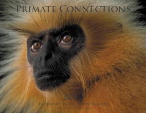 Primate Connections