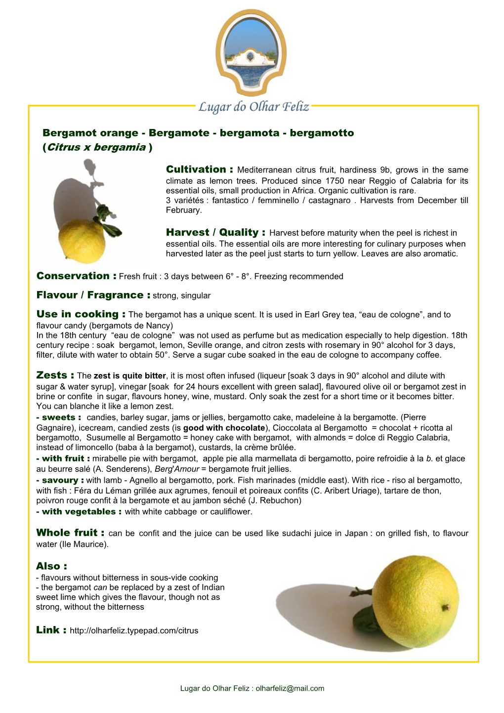 Bergamote - Bergamota - Bergamotto (Citrus X Bergamia )