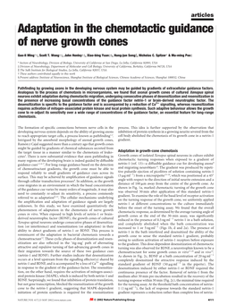 Adaptation in the Chemotactic Guidance of Nerve Growth Cones