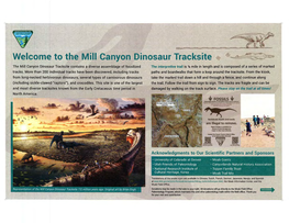 Welcome to the Mill Canyon Dinosaur Tracksite ~ -- ~-N:M