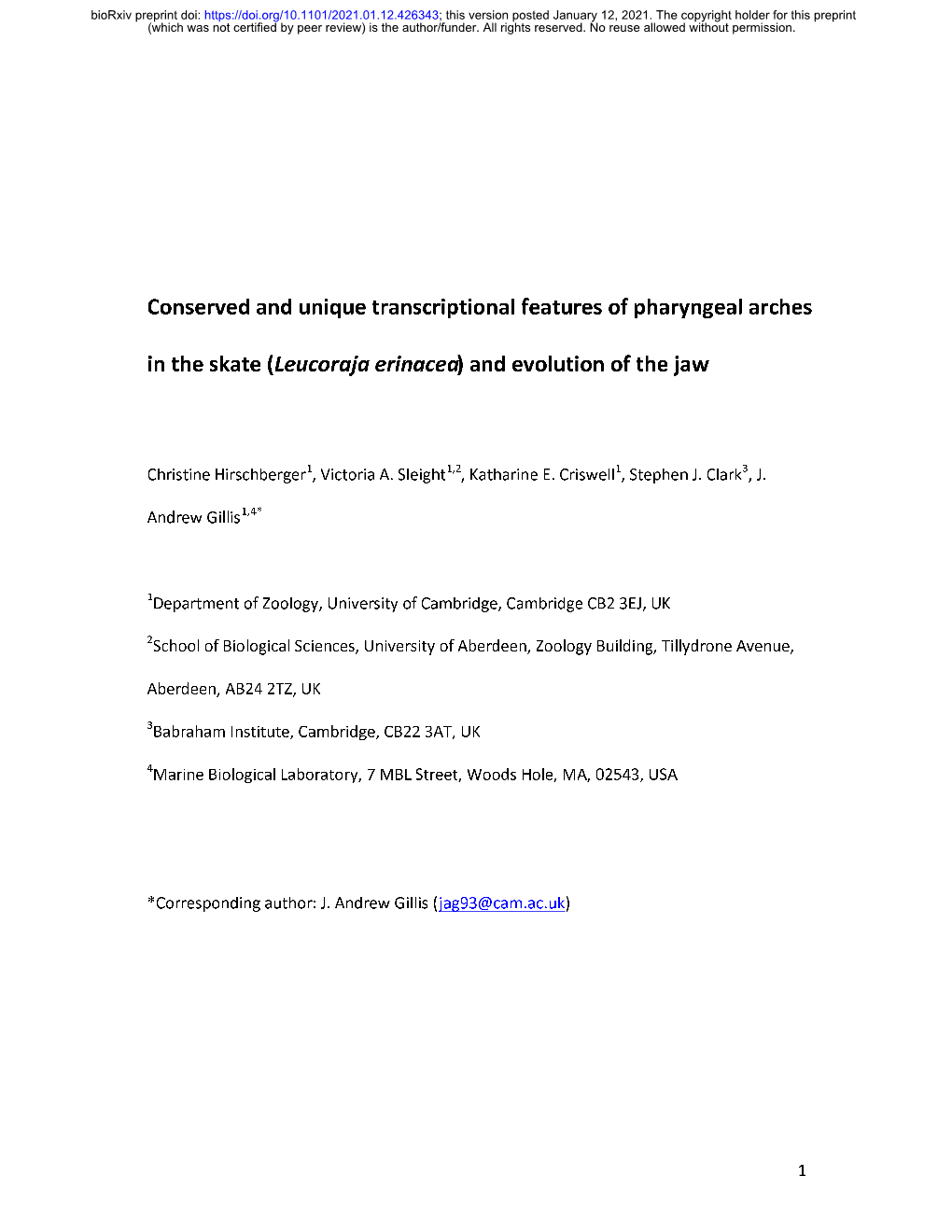 Conserved and Unique Transcriptional Features of Pharyngeal Arches