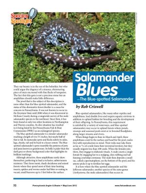 Salamander Blues—The Blue-Spotted Salamander