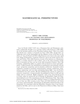 Mathematical Perspectives