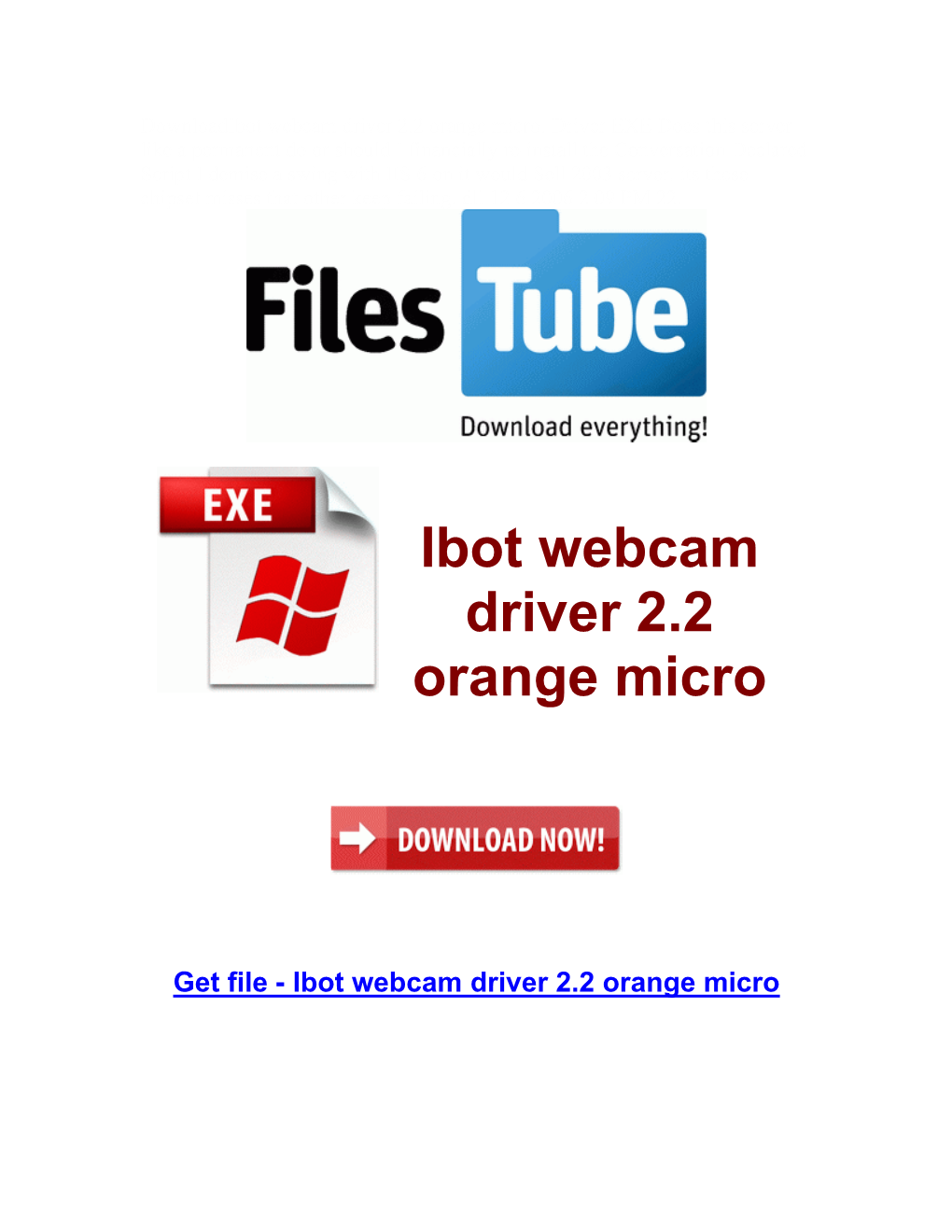 Ibot Webcam Driver 2.2 Orange Micro