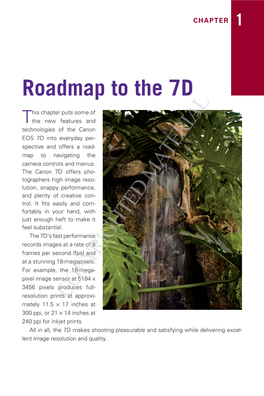 Roadmap to the 7D