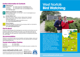 West Norfolk Bird Watching
