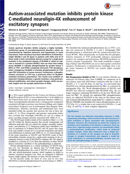 Autism-Associated Mutation Inhibits Protein Kinase C-Mediated Neuroligin-4X Enhancement of Excitatory Synapses