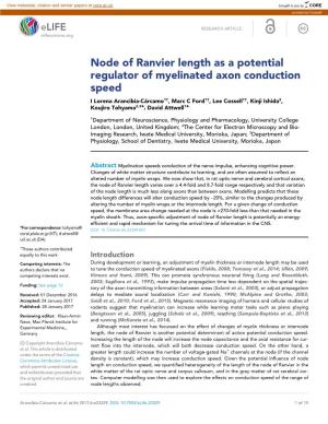 Node of Ranvier Length As a Potential Regulator of Myelinated Axon