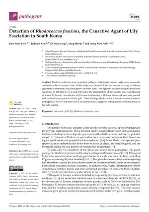 Detection of Rhodococcus Fascians, the Causative Agent of Lily Fasciation in South Korea