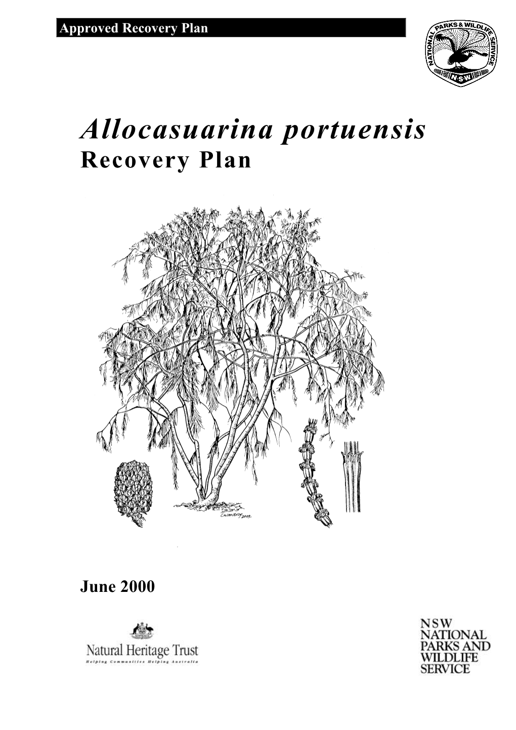 Allocasuarina Portuensis Recovery Plan