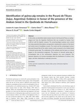 Identification of Guinea Pig Remains in the Pucará De Tilcara (Jujuy, Argentina): Evidence in Favour of the Presence of the Andean Breed in the Quebrada De Humahuaca