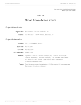 Small Town Active Youth