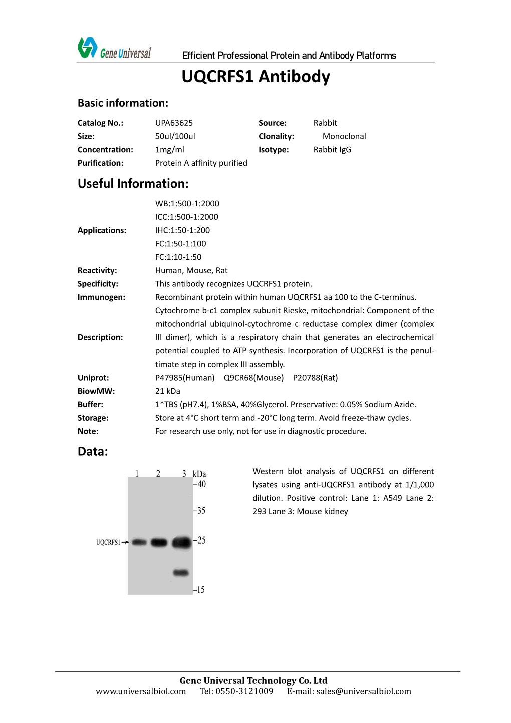 UQCRFS1 Antibody