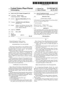 (12) United States Plant Patent (10) Patent N0.: US PP22,867 P2 Schimmelpfeng (45) Date of Patent: Jul