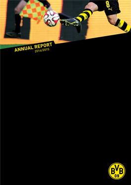 BVB Annual Report 14/15
