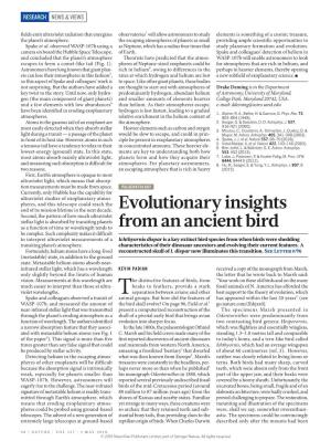 Evolutionary Insights from an Ancient Bird