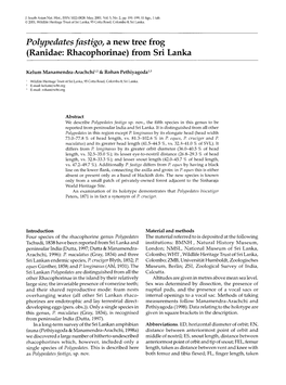 Polypedates Fastigo, a New Tree Frog (Ranidae: Rhacophorinae) from Sri Lanka