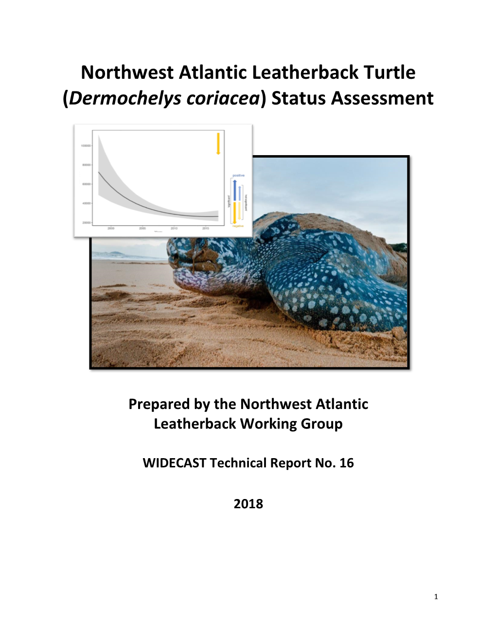 Northwest Atlantic Leatherback Turtle (Dermochelys Coriacea) Status Assessment