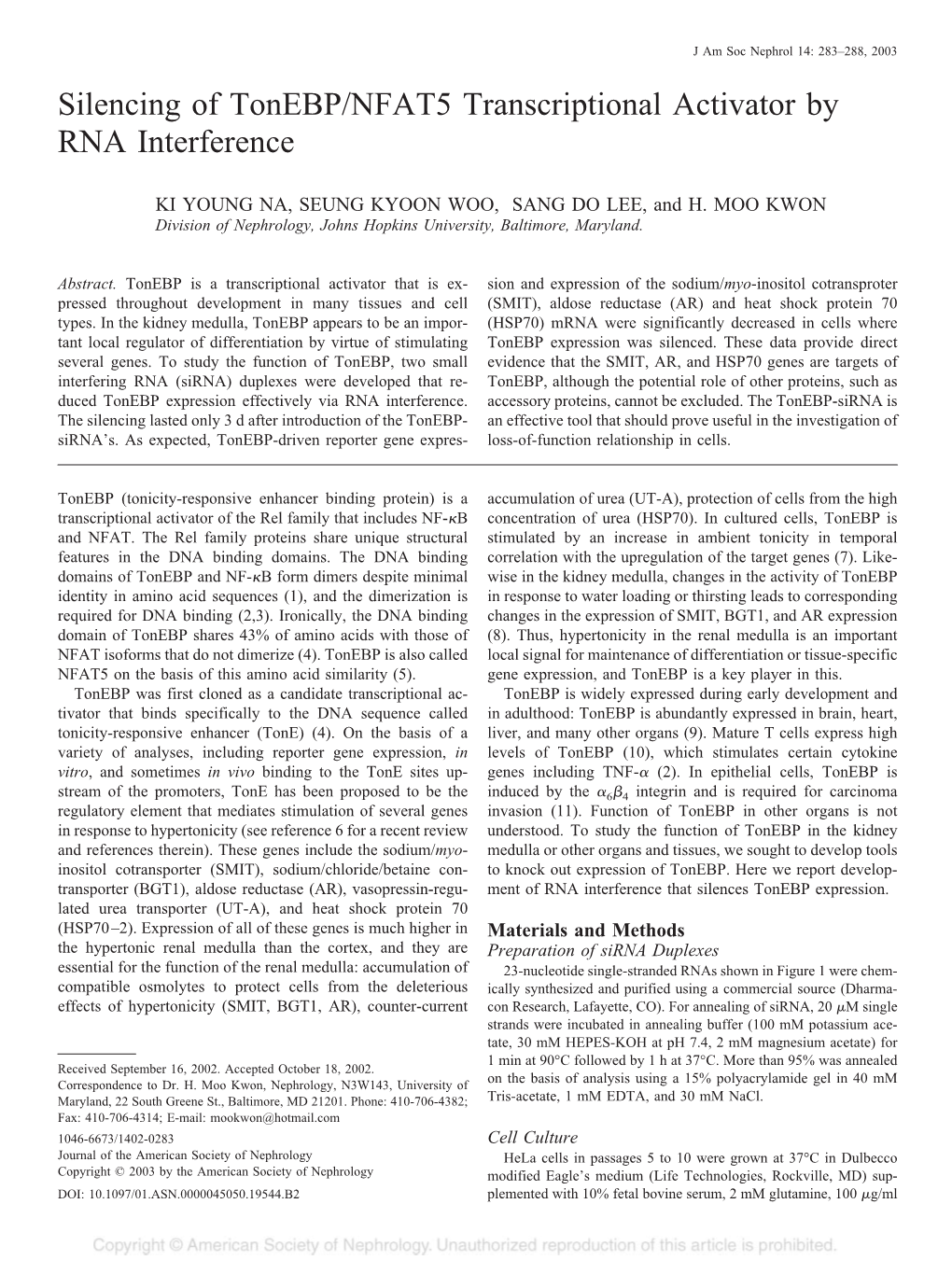 Silencing of Tonebp/NFAT5 Transcriptional Activator by RNA Interference