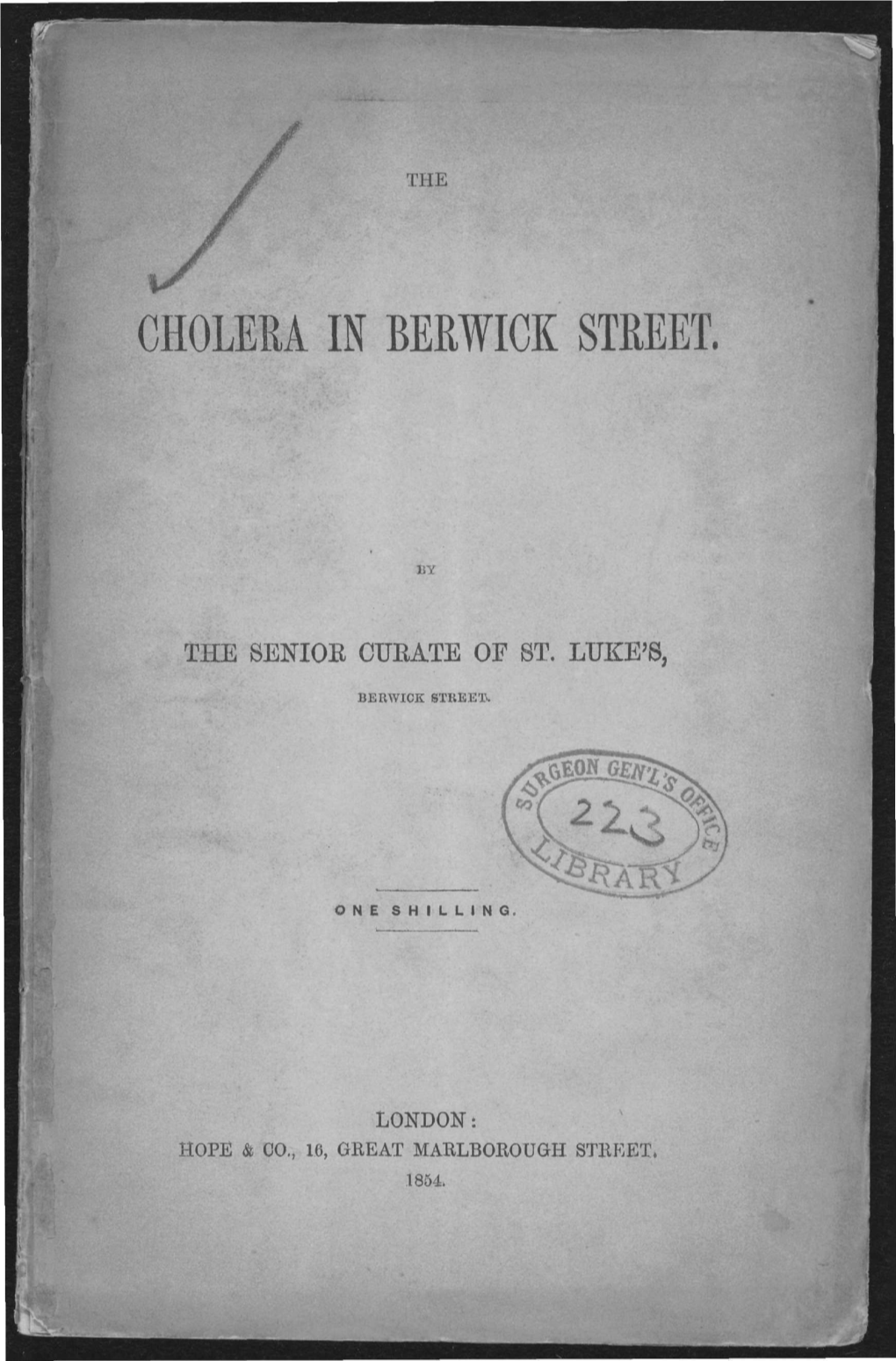 The Cholera in Berwick Street. by the Senior Curate of St. Luke's