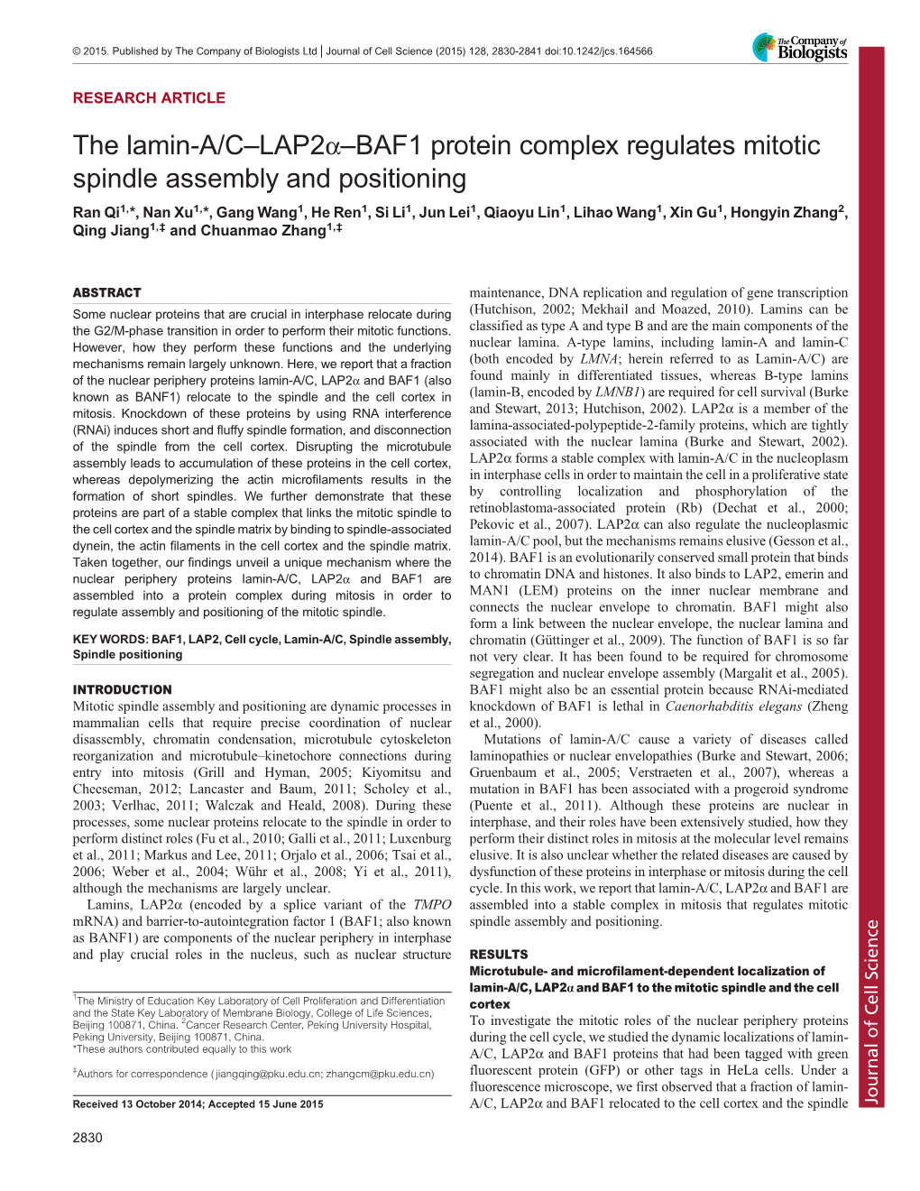 The Lamin-A/C–Lap2α–BAF1 Protein Complex Regulates Mitotic Spindle