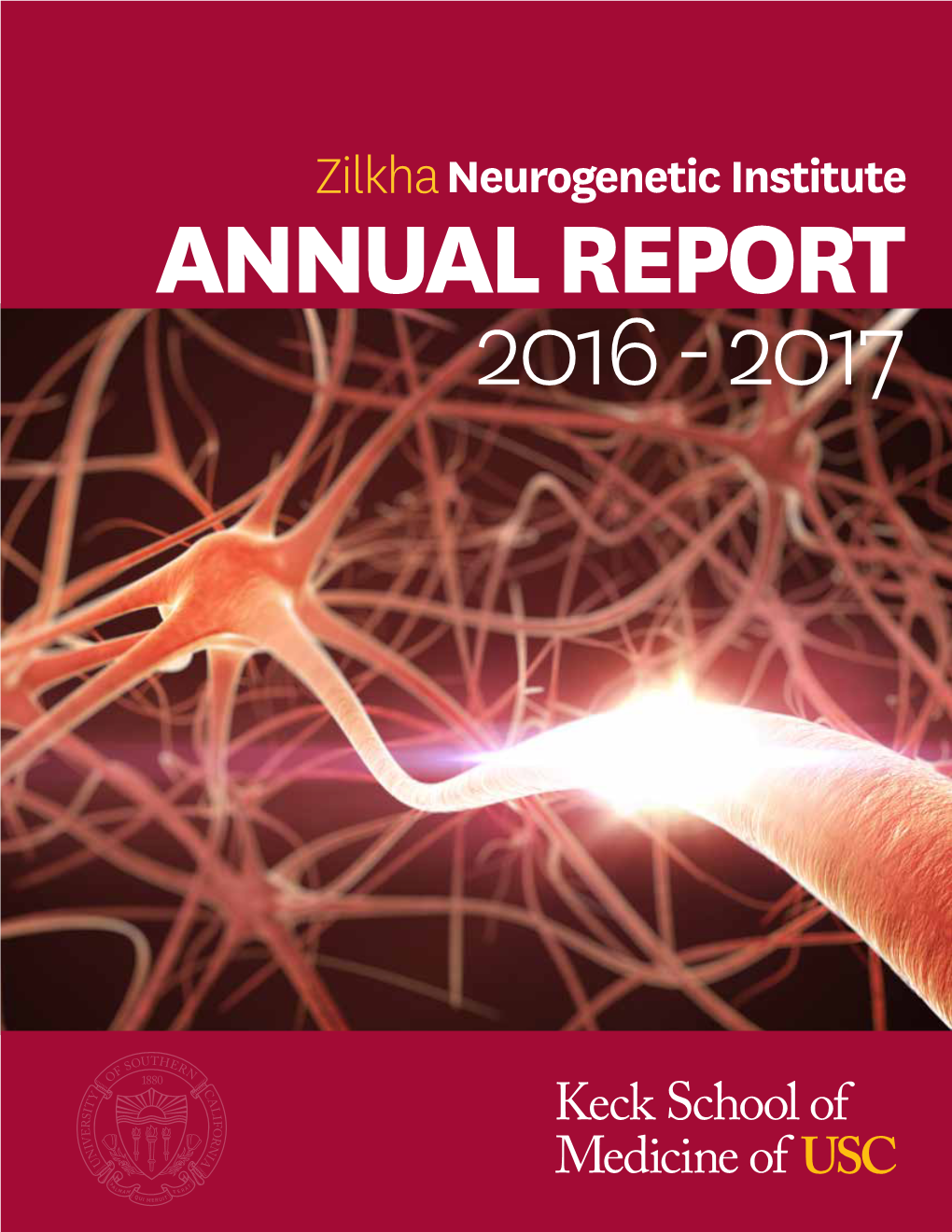 Annual Report 2017