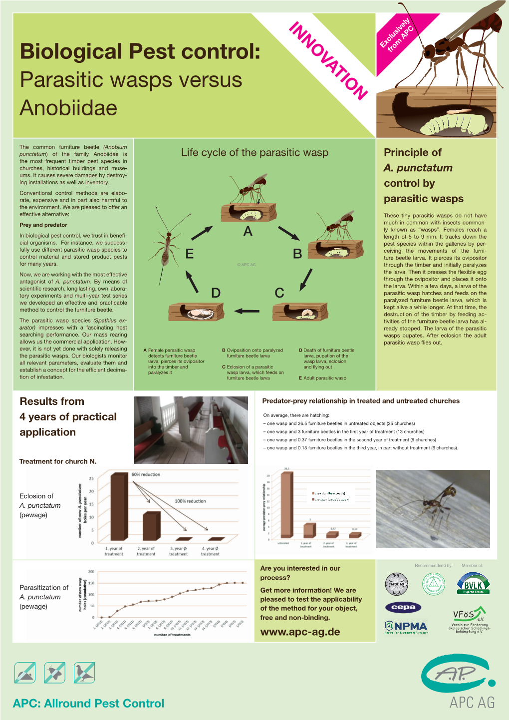 Parasitic Wasps Versus Anobiidae