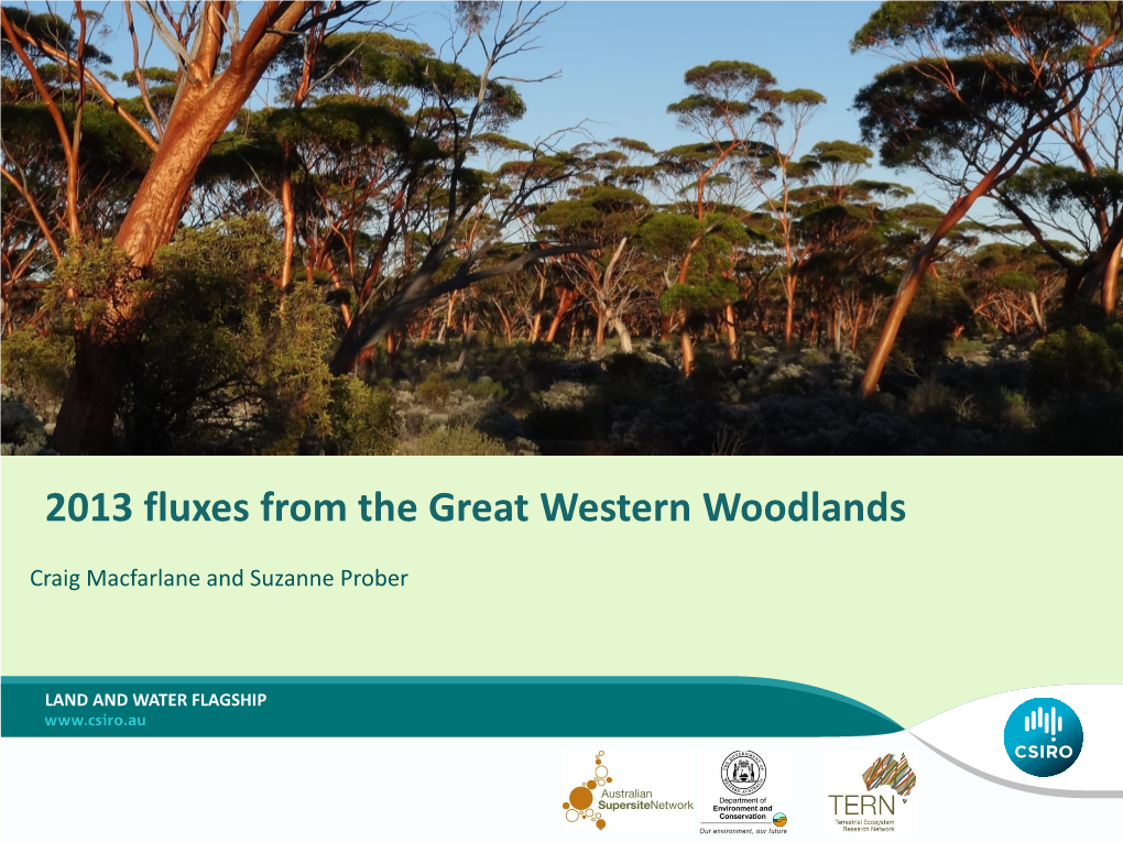 Great Western Woodlands