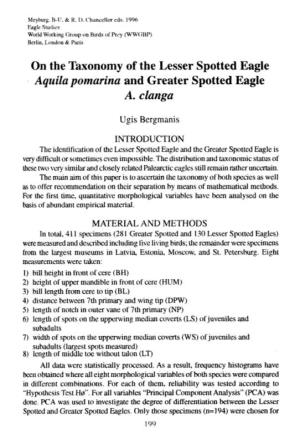 On the Taxonomy of the Lesser Spotted Eagle Aquila Pomarina and Greater Spotted Eagle A