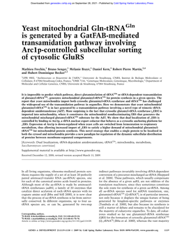 Yeast Mitochondrial Gln-Trna Is Generated by a Gatfab-Mediated Transamidation Pathway Involving Arc1p-Controlled Subcellular