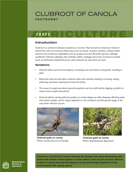 AGRICULTURECROPS Introduction