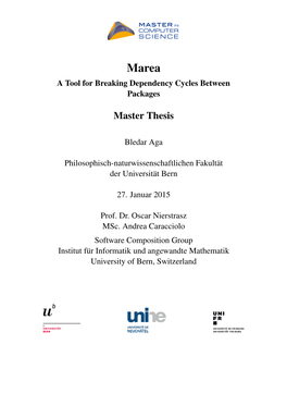 Master Thesis