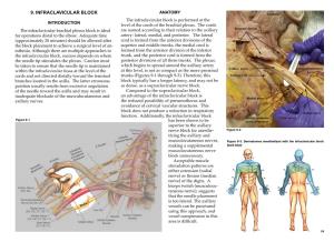 INFRACLAVICULAR BLOCK ANATOMY the Infraclavicular Block Is Performed at the INTRODUCTION Level of the Cords of the Brachial Plexus