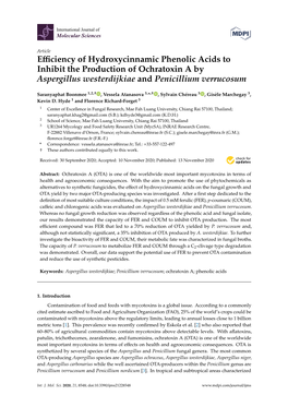 Efficiency of Hydroxycinnamic Phenolic Acids to Inhibit the Production of Ochratoxin a by Aspergillus Westerdijkiae and Penicill
