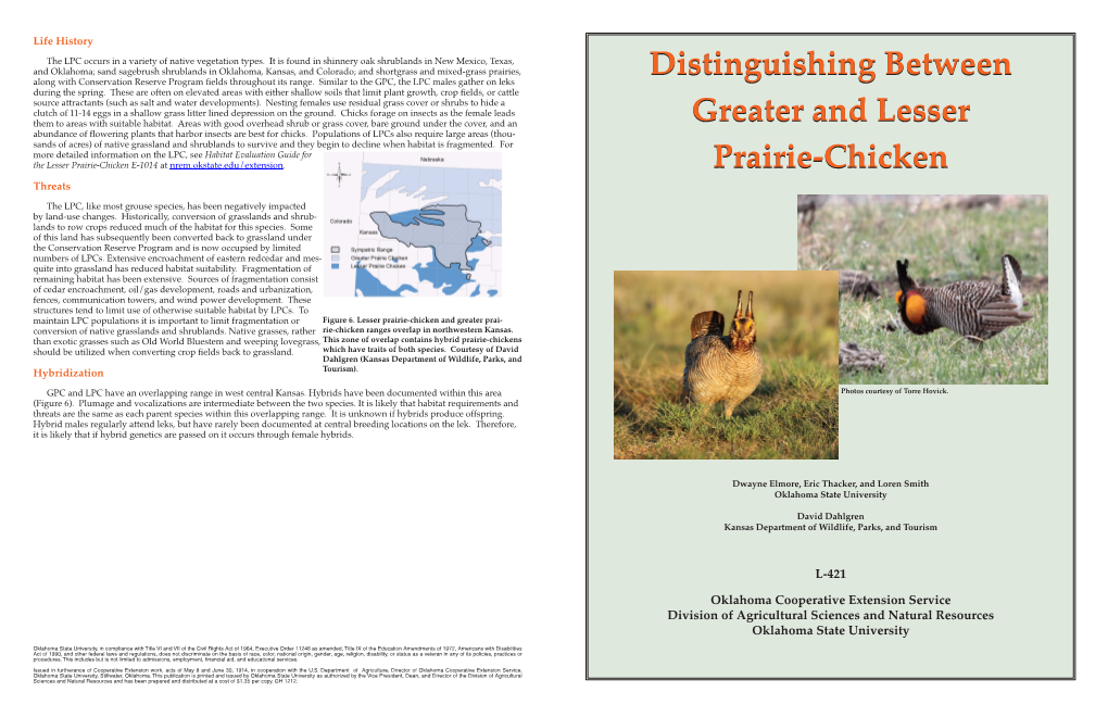 Distinguishing Between Greater and Lesser Prairie-Chicken