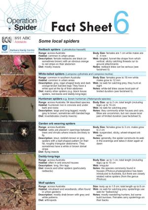 Some Local Australian Spiders • Fact Sheet